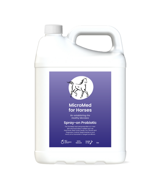 MicroMed for Horses Acute Care