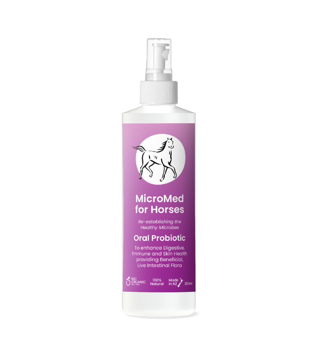 MicroMed for Horses Everyday Care