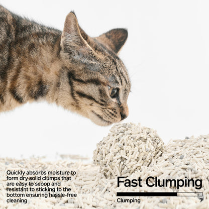 PIDAN Signature Tofu Blend Cat Litter