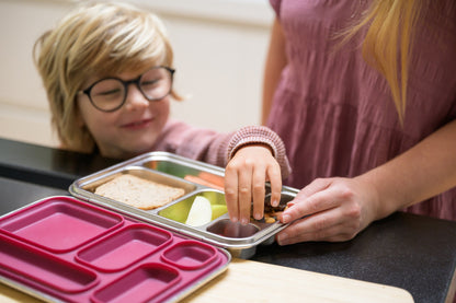 Stainless Bento Lunchbox