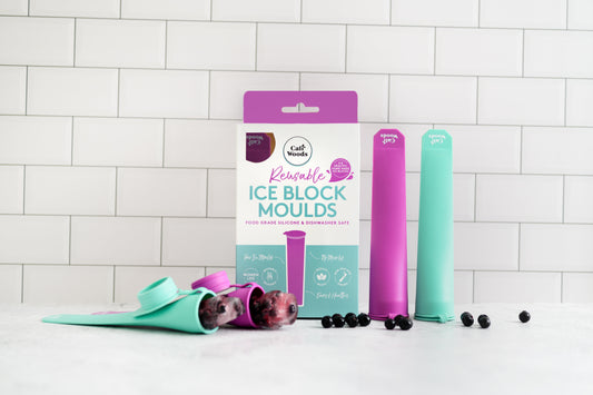 Ice Block Moulds (2 for 1!)