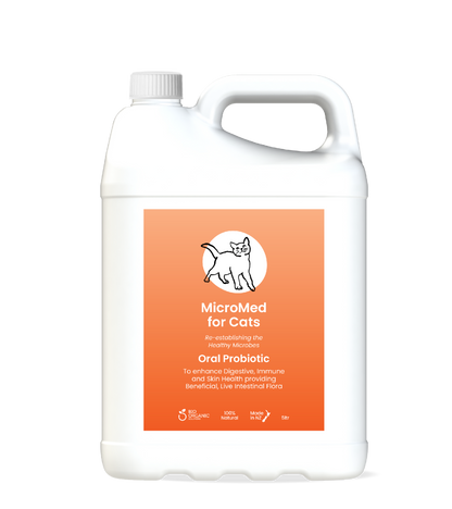 MicroMed for Cats Everyday Care