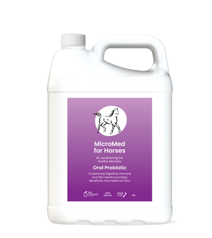 MicroMed for Horses Everyday Care