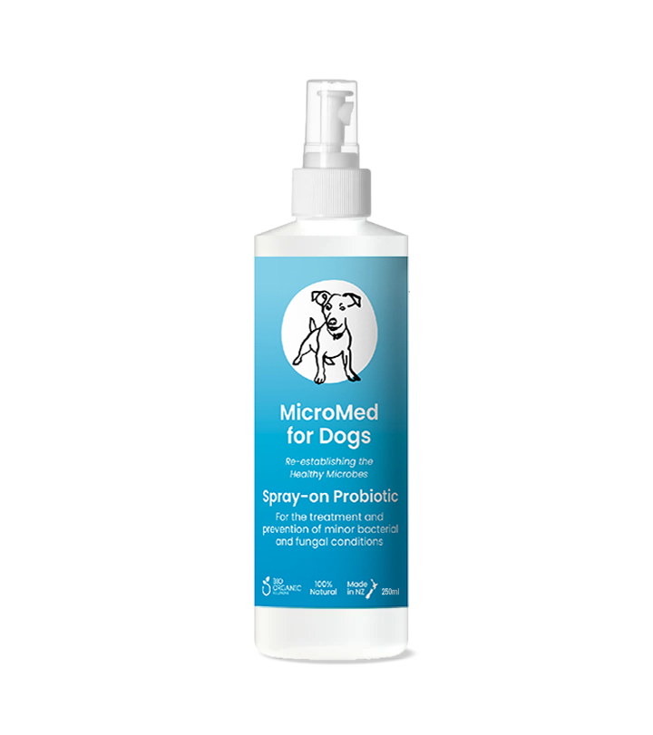 MicroMed for Dogs Acute Care