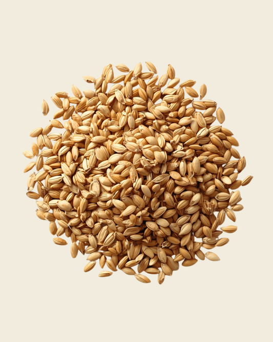 Sunflower Seeds 500g
